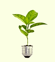 finbiz-small
